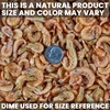 image:imageSan Francisco Bay Brand Freeze Dried Krill Fish Food  508 oz 144g508 Ounce Pack of 1