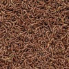 image:imageSan Francisco Bay Brand FreezeDried Bloodworms Fish Food  06 oz 17g004 Ounce Pack of 1